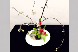 Tranquility & Japanese Floral Design: Moribana-style Ikebana (3-class series)